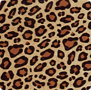 Leopard Brown